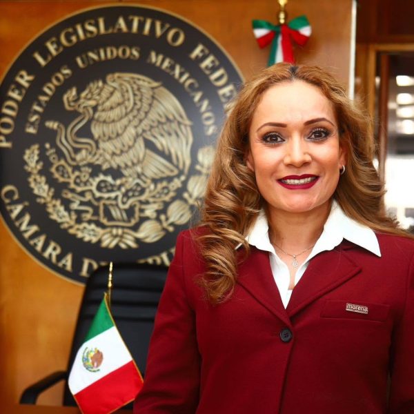 Katia Castillo, diputada federal