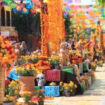 Festival Tradición Viva