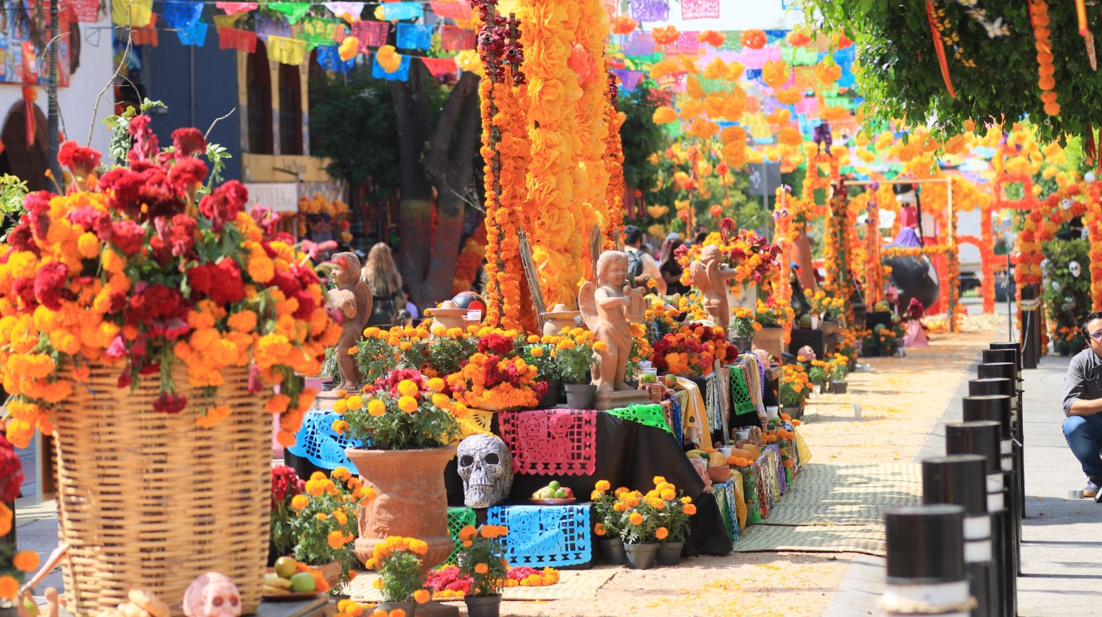 Festival Tradición Viva