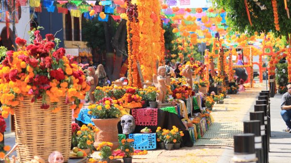 Festival Tradición Viva