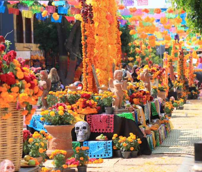 Festival Tradición Viva