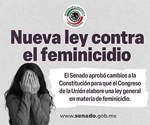 300x250-senado2